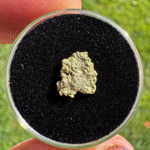 California Native Gold Crystal - 0.40 grams - Picture 2 of 5